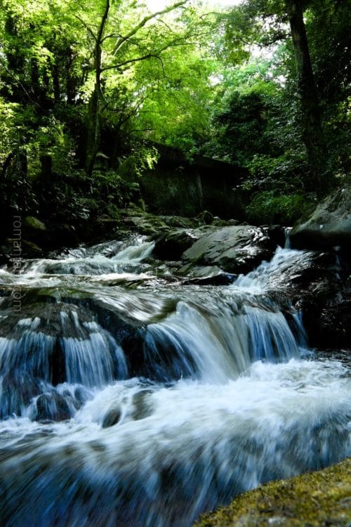 湯河原・万葉公園・水の流れ