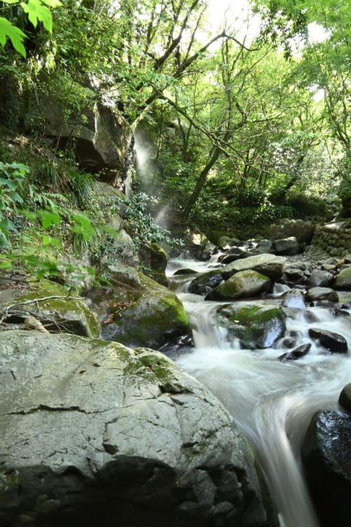 湯河原・万葉公園・水の流れ