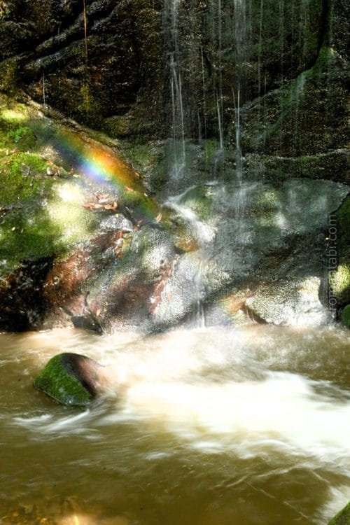 湯河原・万葉公園・滝と虹