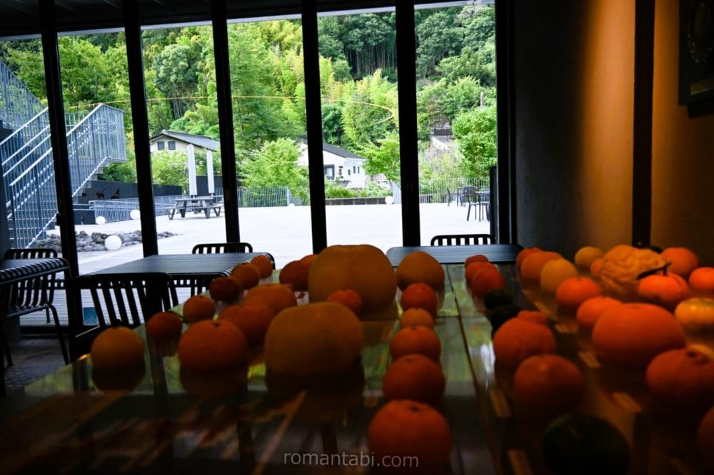 湯河原惣湯|玄関テラス